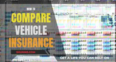 Comparing Vehicle Insurance: A Quick Guide