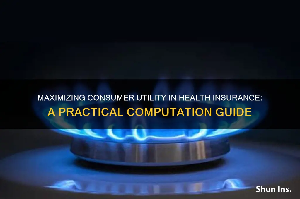 how to compute consumer utility for health insurance