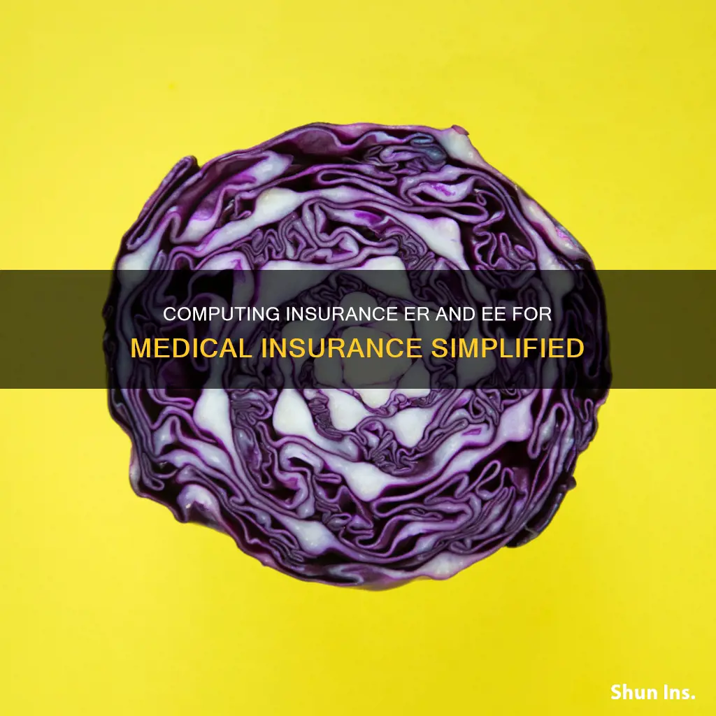 how to compute insurance er and ee for medical insurance