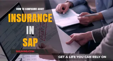 Configuring Asset Insurance in SAP: A Step-by-Step Guide