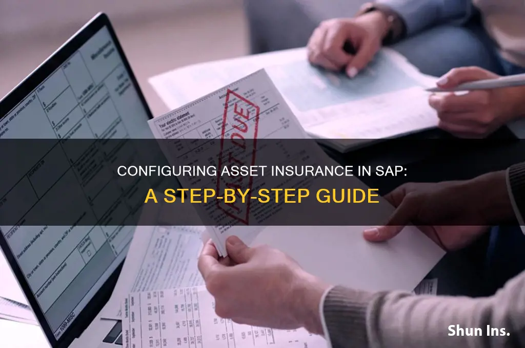 how to configure asset insurance in sap