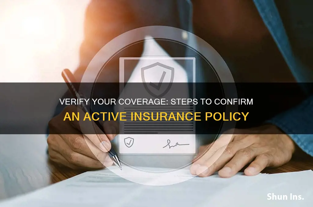 how to confirm if an insurance polcy is active