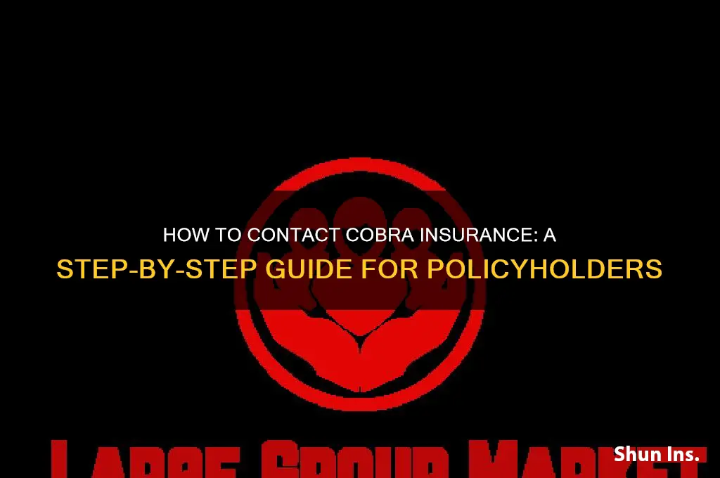 how to contact cobra insurance