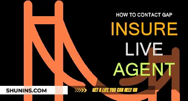 Get Live Assistance: Contacting Gap Insurance Agents