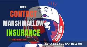 Contacting Marshmallow Insurance: A Simple Step-by-Step Guide for Customers