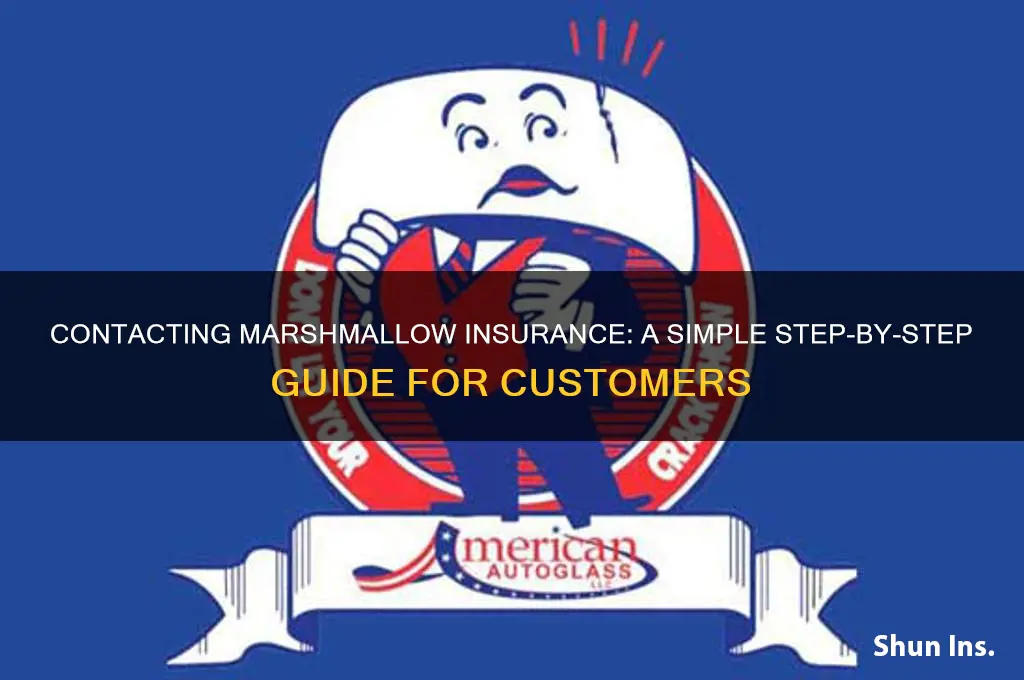 how to contact marshmallow insurance