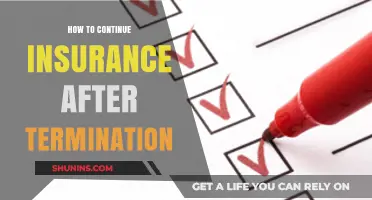 Navigating Post-Termination Insurance Options: A Comprehensive Guide to Continuity
