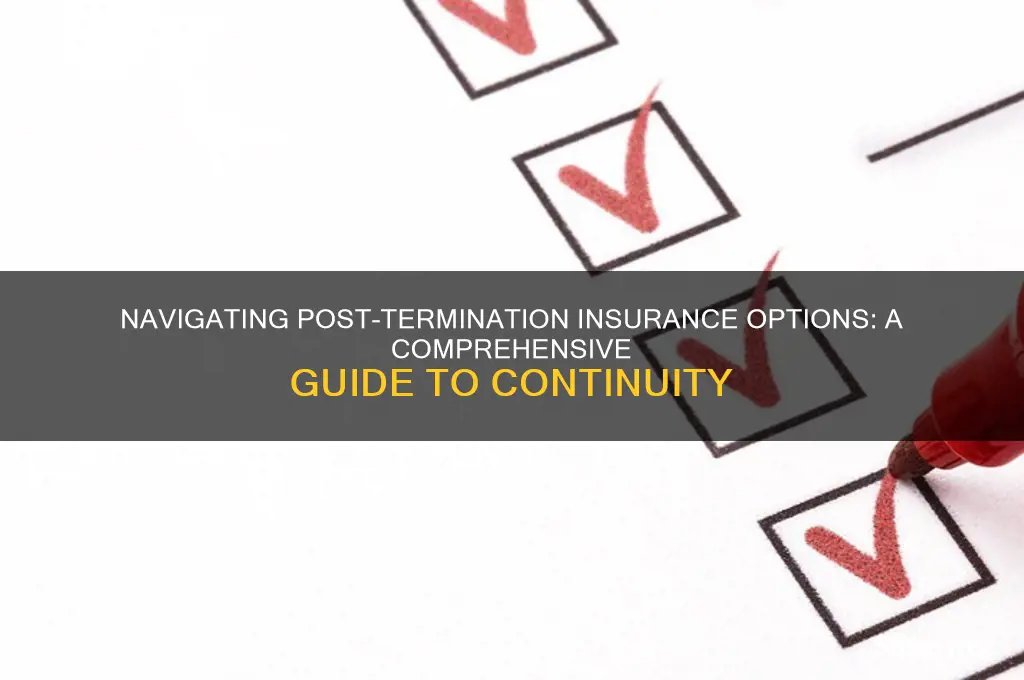 how to continue insurance after termination