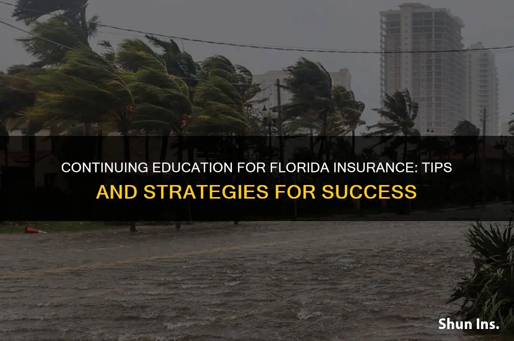 how to continuing education fl insurance