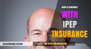 Mastering IPEP Insurance Contracts: A Step-by-Step Guide for Success