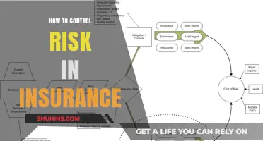 Managing Risk: Strategies for Insurance Professionals