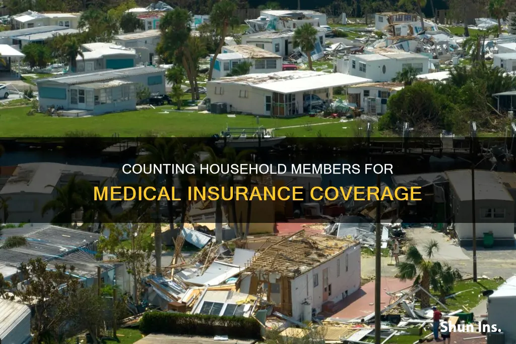 how to count people in household for medical insurance