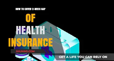 Bridging the Health Insurance Gap: Strategies for 2-Week Coverage