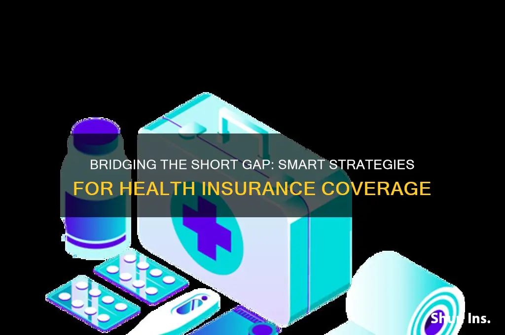 how to cover a shoet gap in health insurance