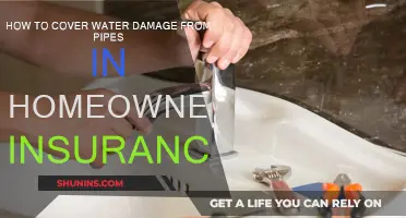 Water Damage: Insurance and Pipe Problems