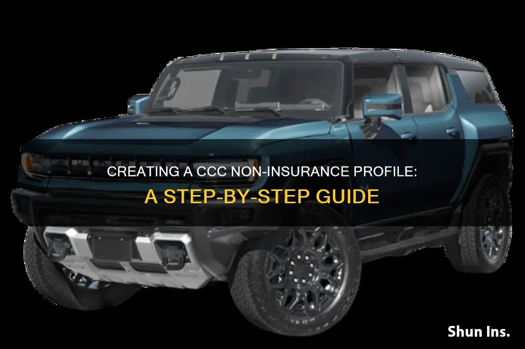 how to create a new non-insurance profile in ccc