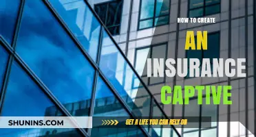 Mastering Insurance Captives: A Step-by-Step Guide to Creating Your Own