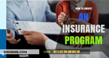 Designing a Comprehensive Insurance Program: A Step-by-Step Guide