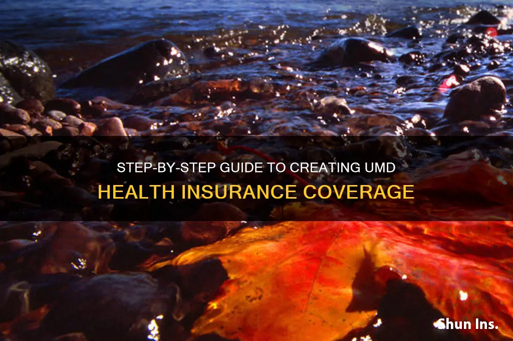 how to create umd health insurance