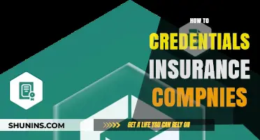 Securing Credentials: A Comprehensive Guide for Insurance Companies