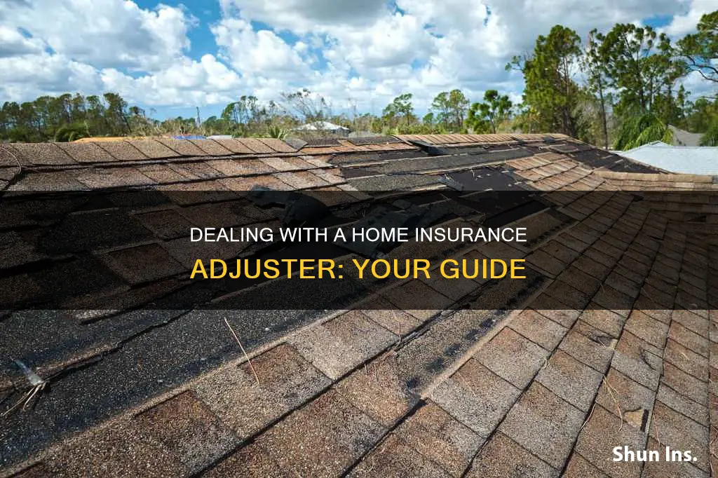 how to deal with a homeowners insurance adjuster