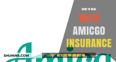 Navigating Amigo Insurance Claims: Expert Tips for a Smooth Resolution
