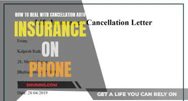 Cancelling Auto Insurance: A Quick Phone Call Guide