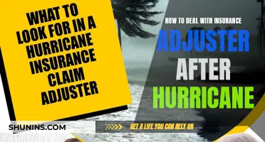 Navigating the Aftermath: Strategies for Engaging with Insurance Adjusters Post-Hurricane