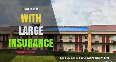 Mastering Large Insurance Claims: Strategies for Smooth and Fair Settlements