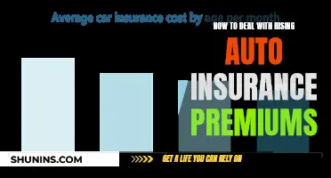 Auto Insurance Premiums: Strategies to Combat Rising Costs