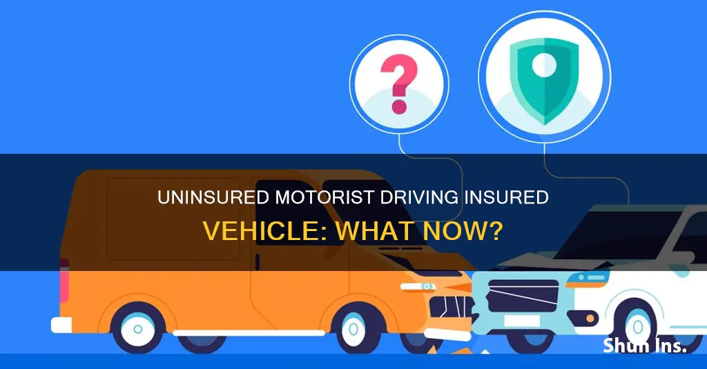 how to deal with uninsured motorist driving insured vehicle