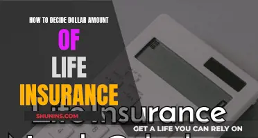 Life Insurance: Deciding Your Dollar Amount Coverage