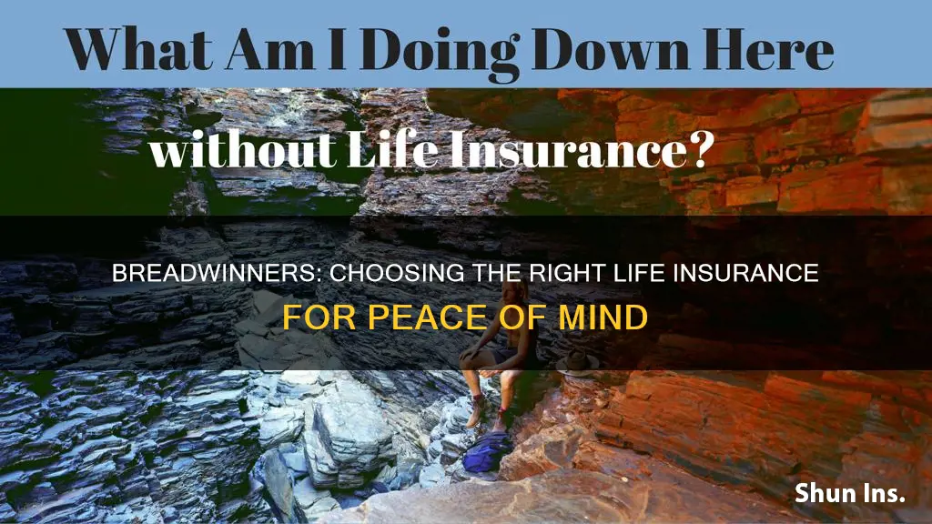 how to decide life insurance for the breadwinner