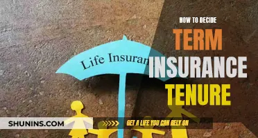 Choosing the Right Term Insurance Horizon: Navigating the Optimal Tenure for Peace of Mind