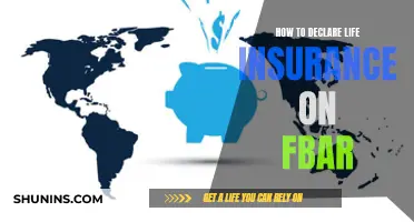 FBAR and Life Insurance: What You Need to Declare