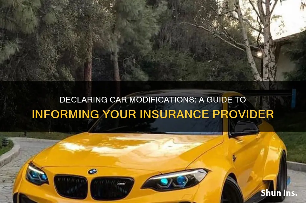 how to declare mods to insurance