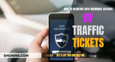 Strategies to Reduce Auto Insurance Costs After Traffic Tickets