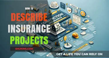 Mastering the Art of Describing Insurance Projects Effectively and Clearly