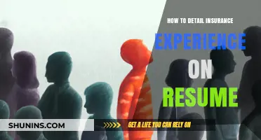Highlighting Insurance Expertise: Crafting a Standout Resume Experience Section