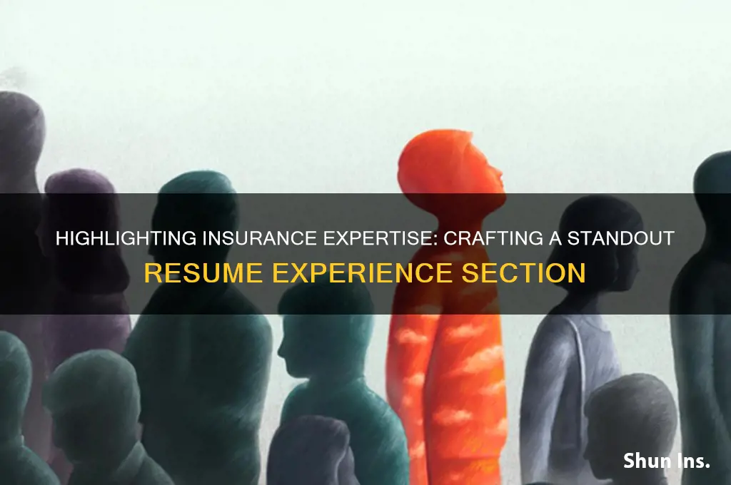 how to detail insurance experience on resume