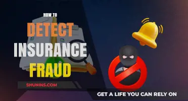 Uncovering Deception: Effective Strategies to Detect Insurance Fraud