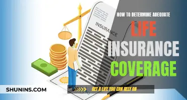 Assessing Life Insurance: Coverage Adequacy and Your Needs