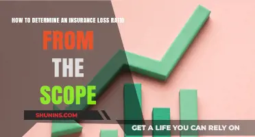 Understanding Insurance Loss Ratios: A Guide to Scope-Based Calculations