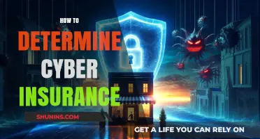 Choosing the Right Cyber Insurance: A Comprehensive Guide for Businesses