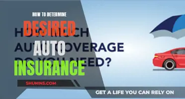 Choosing the Right Auto Insurance Coverage for You