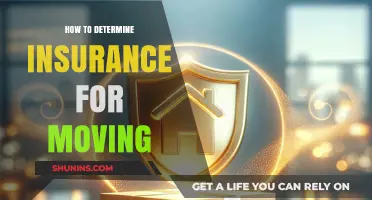 Choosing the Right Moving Insurance: A Comprehensive Guide for Your Relocation