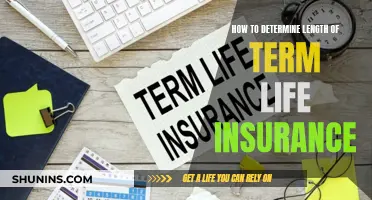 Choosing Term Life Insurance: Factors for Policy Length