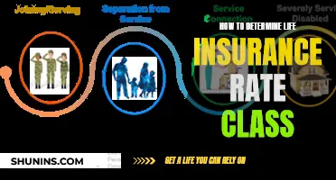 Understanding Life Insurance Rate Classifications and Their Determinants