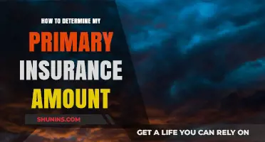 Understanding Your Primary Insurance Amount: A Step-by-Step Guide