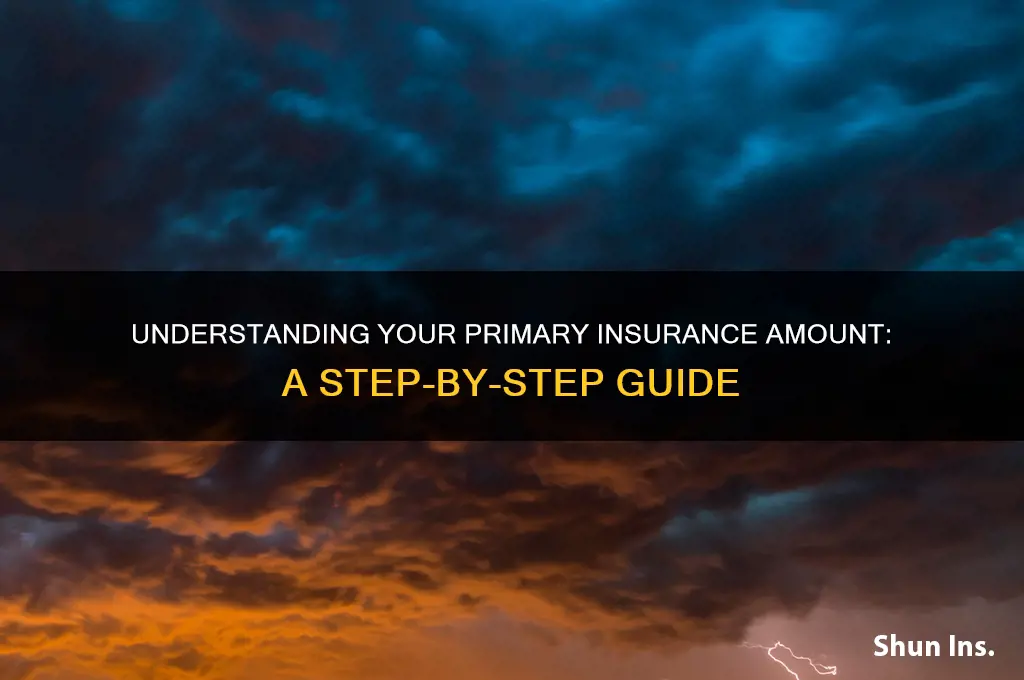 how to determine my primary insurance amount